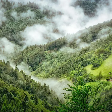 Schwarzwald