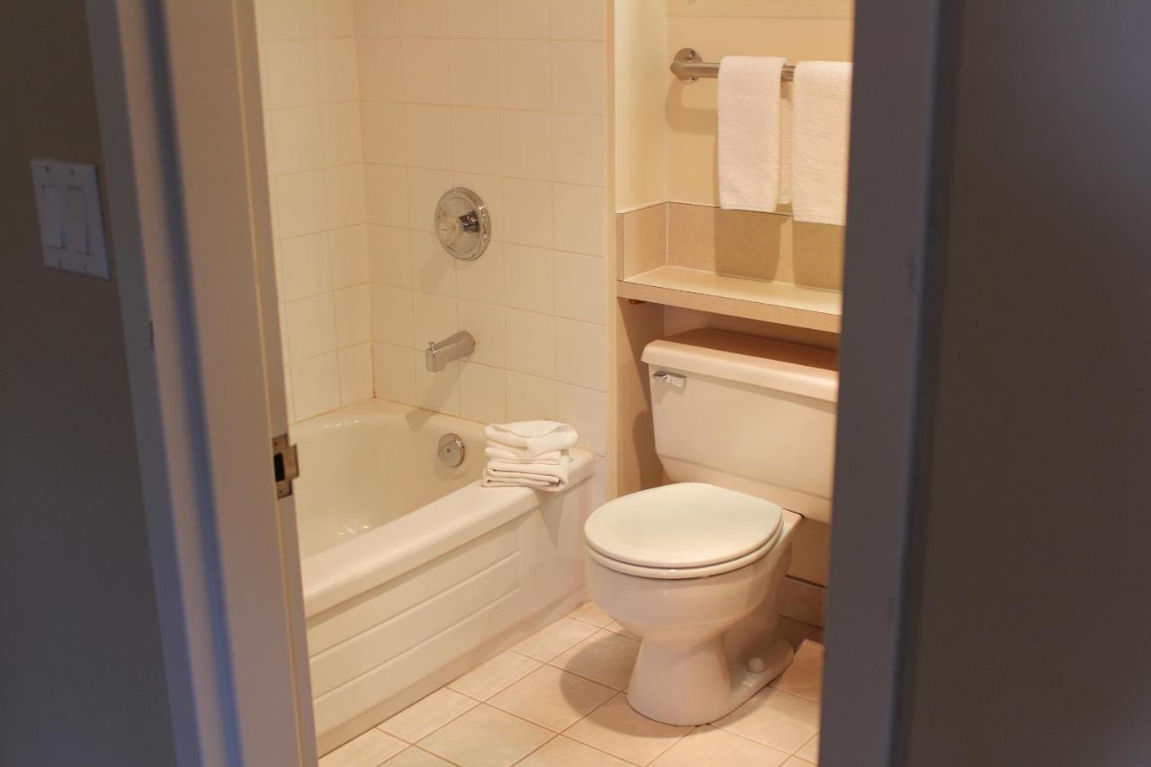 Mini Suite