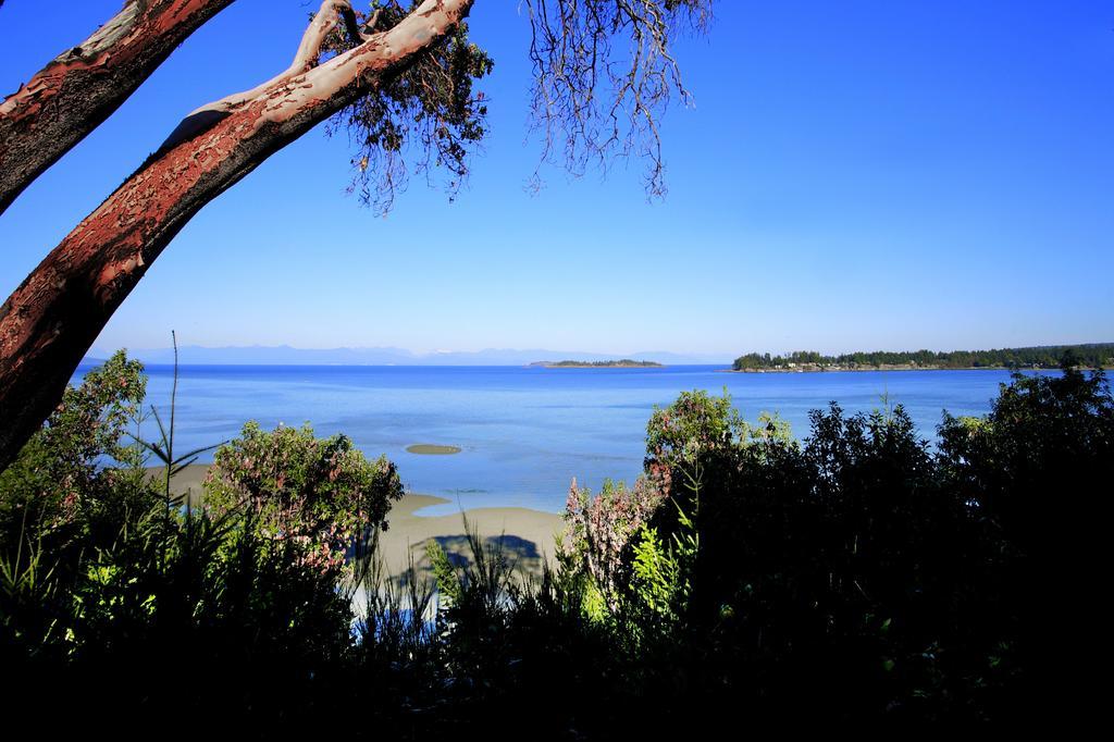 Suite mit 1 Schlafzimmer mit Meerblick