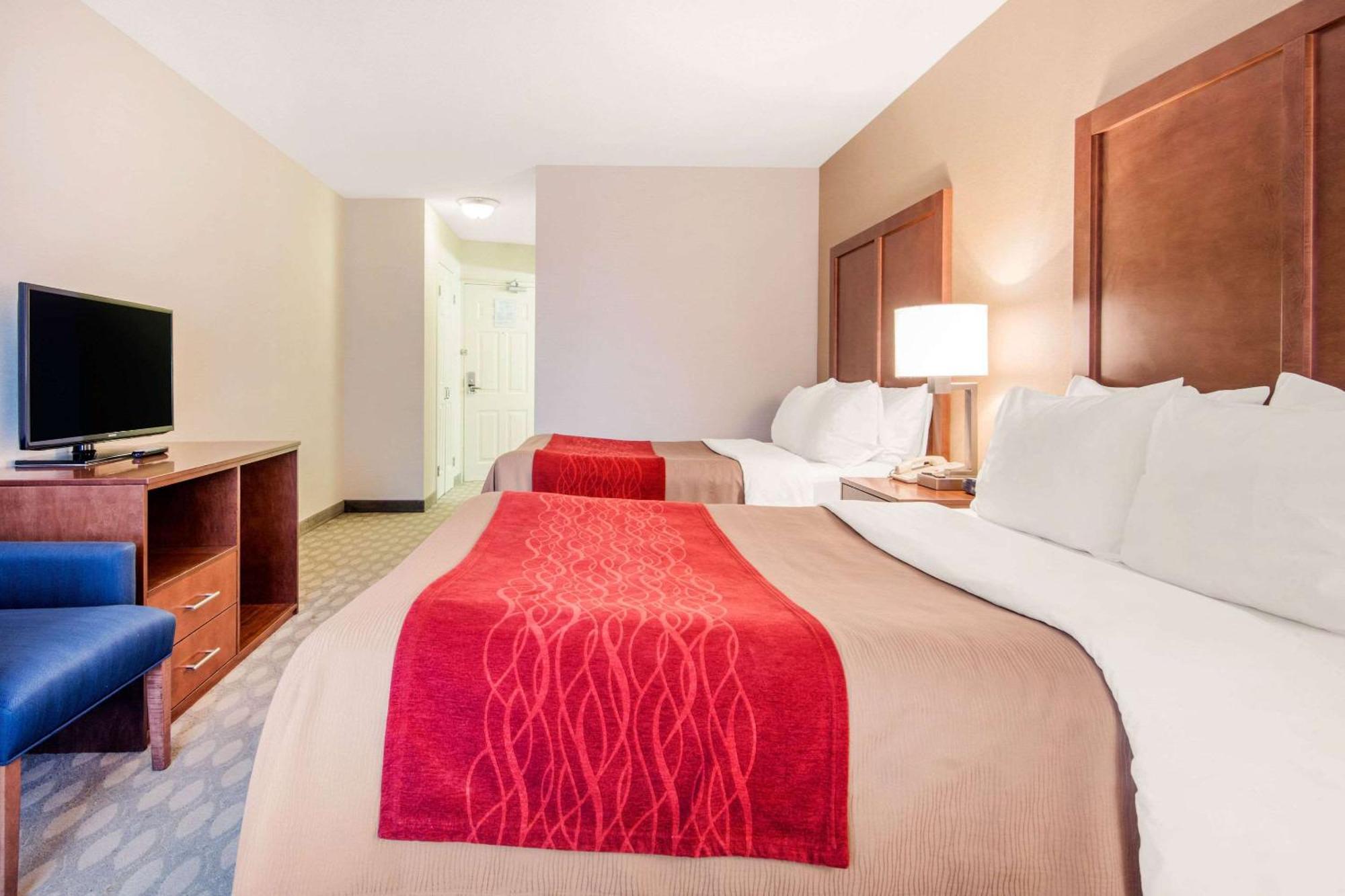 Suite mit Queensize-Bett und Schlafsofa