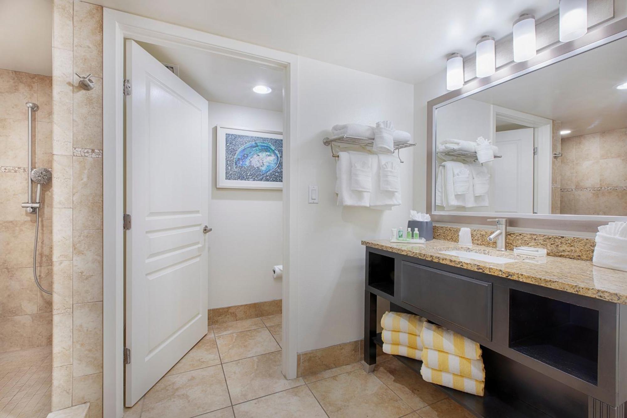 Suite mit 1 Schlafzimmer und Meerblick