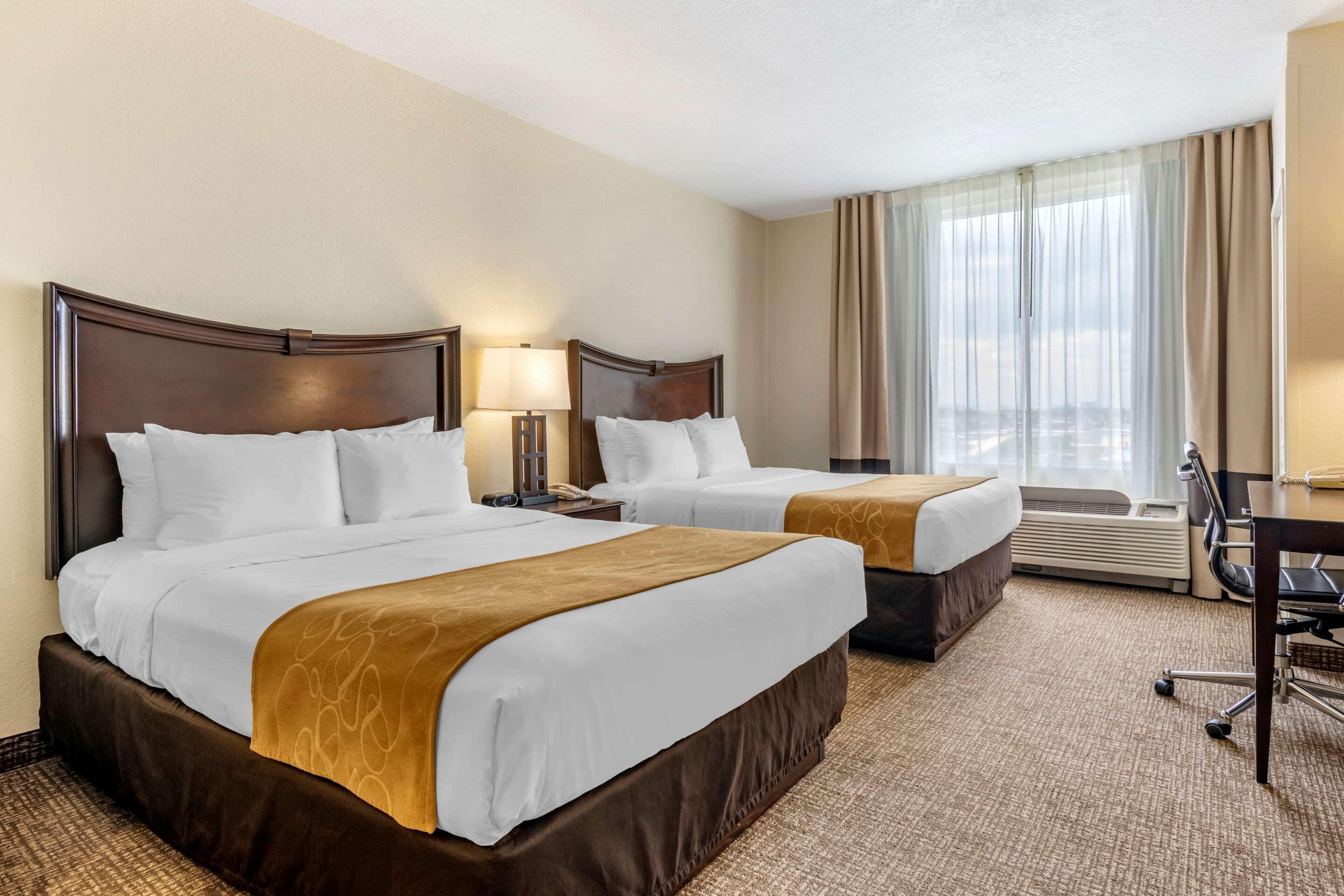 Suite mit Queensize-Bett