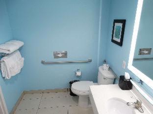 King Room Roll Shower Disability Access or Non-Smoking