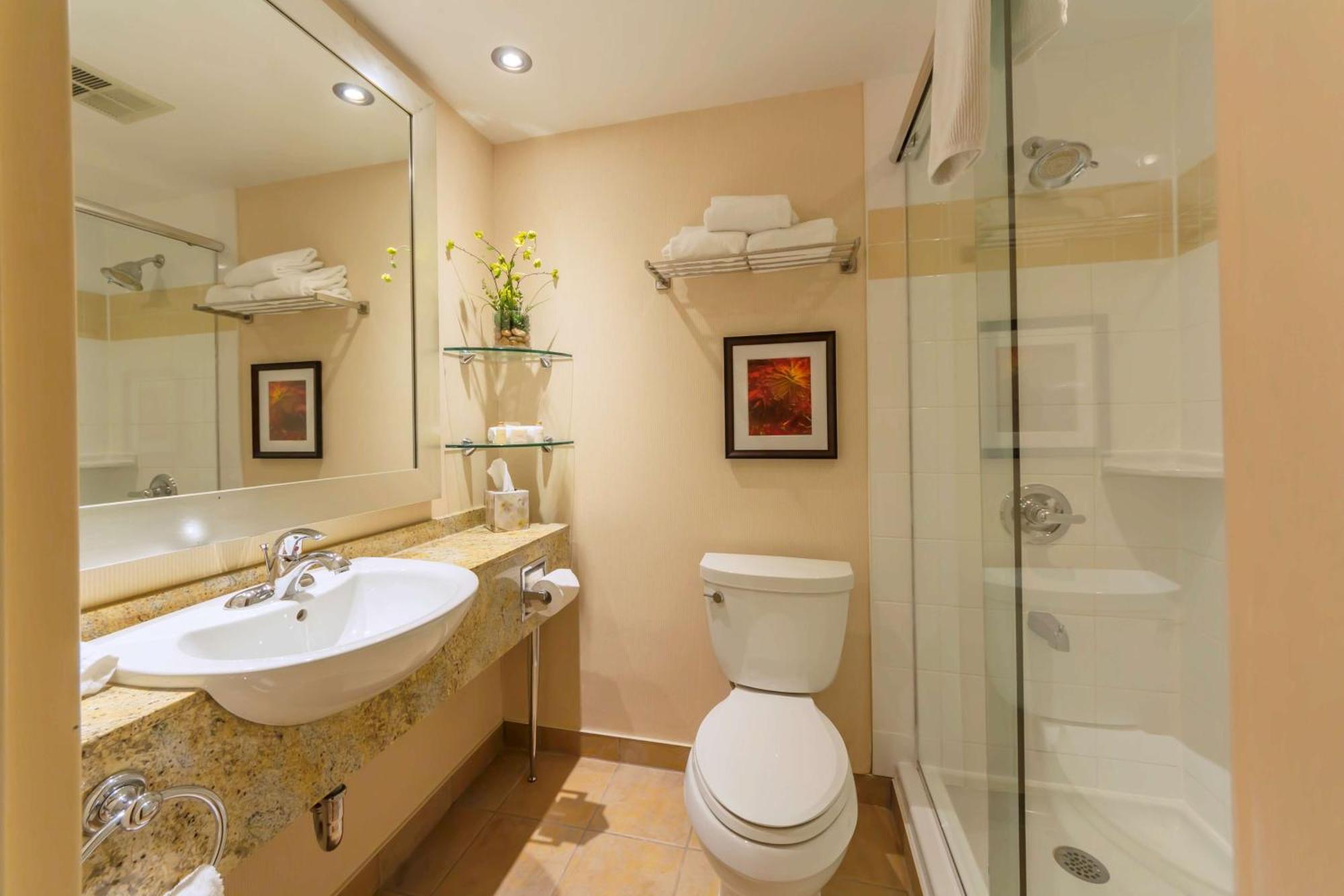 Executive Suite