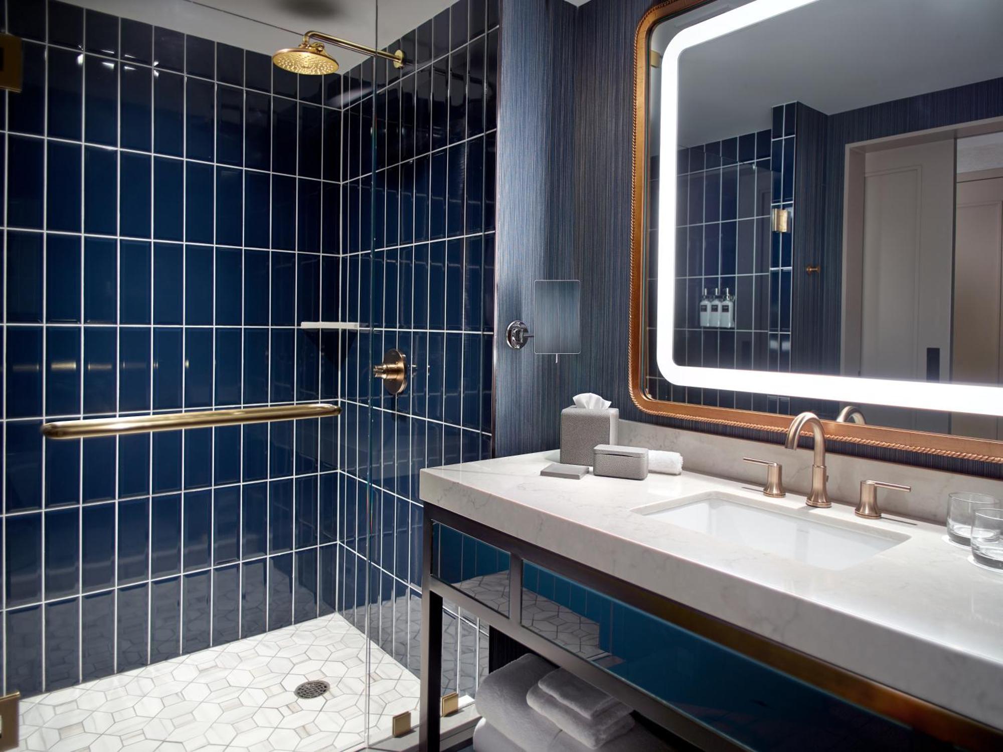 Accessible Deluxe Room Roll Shower King Bed