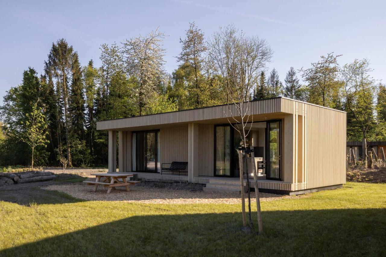 Lodge (4 Personen)