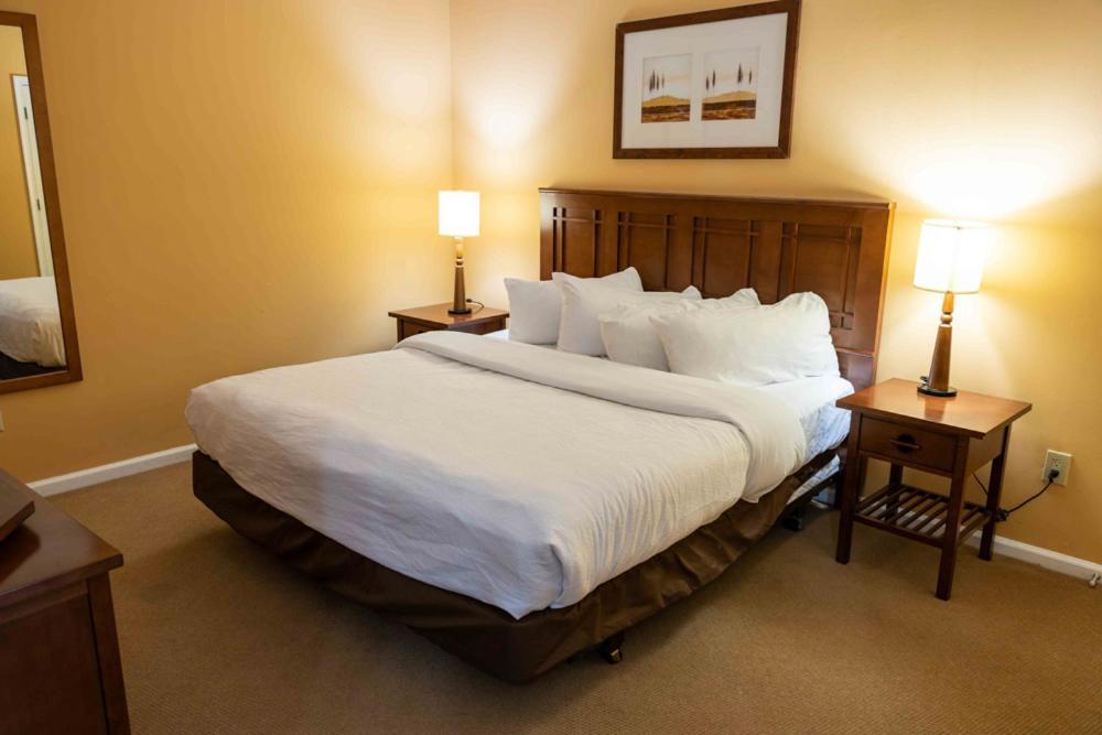 Standard Junior Suite
