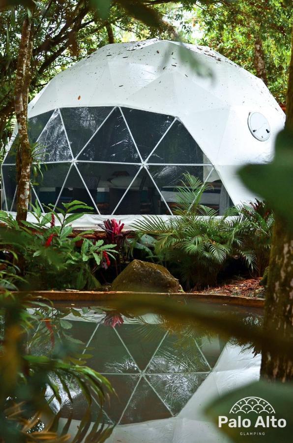 Suite Glamping
