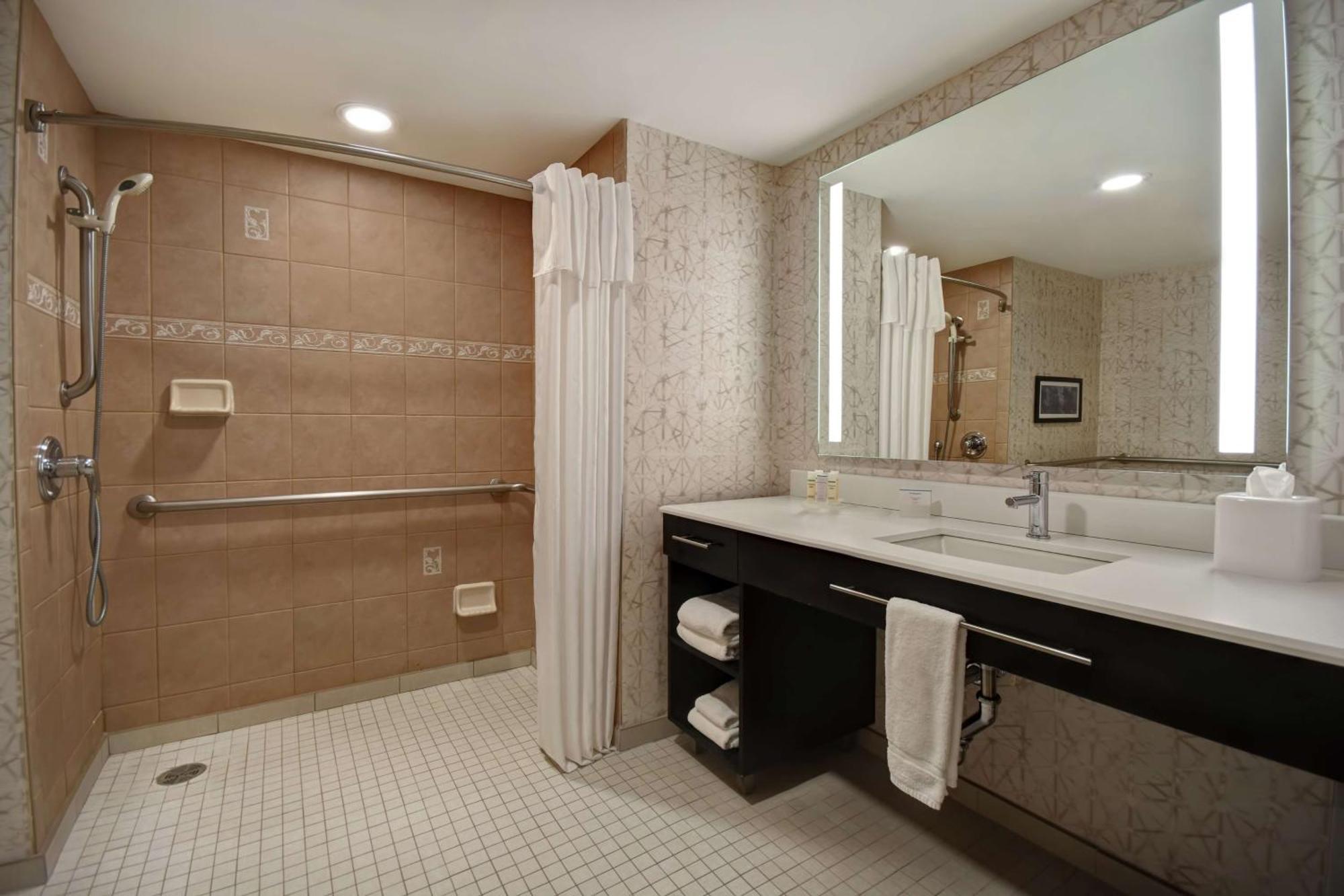 King Suite Mobility Access or Non-Smoking
