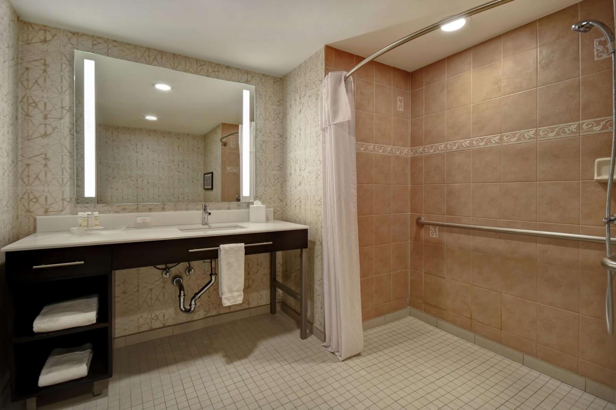 King Suite Mobility Access or Non-Smoking