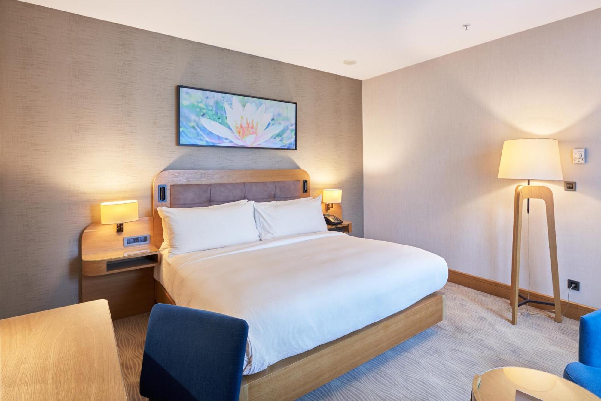 Junior Suite,1539791560:JPEG