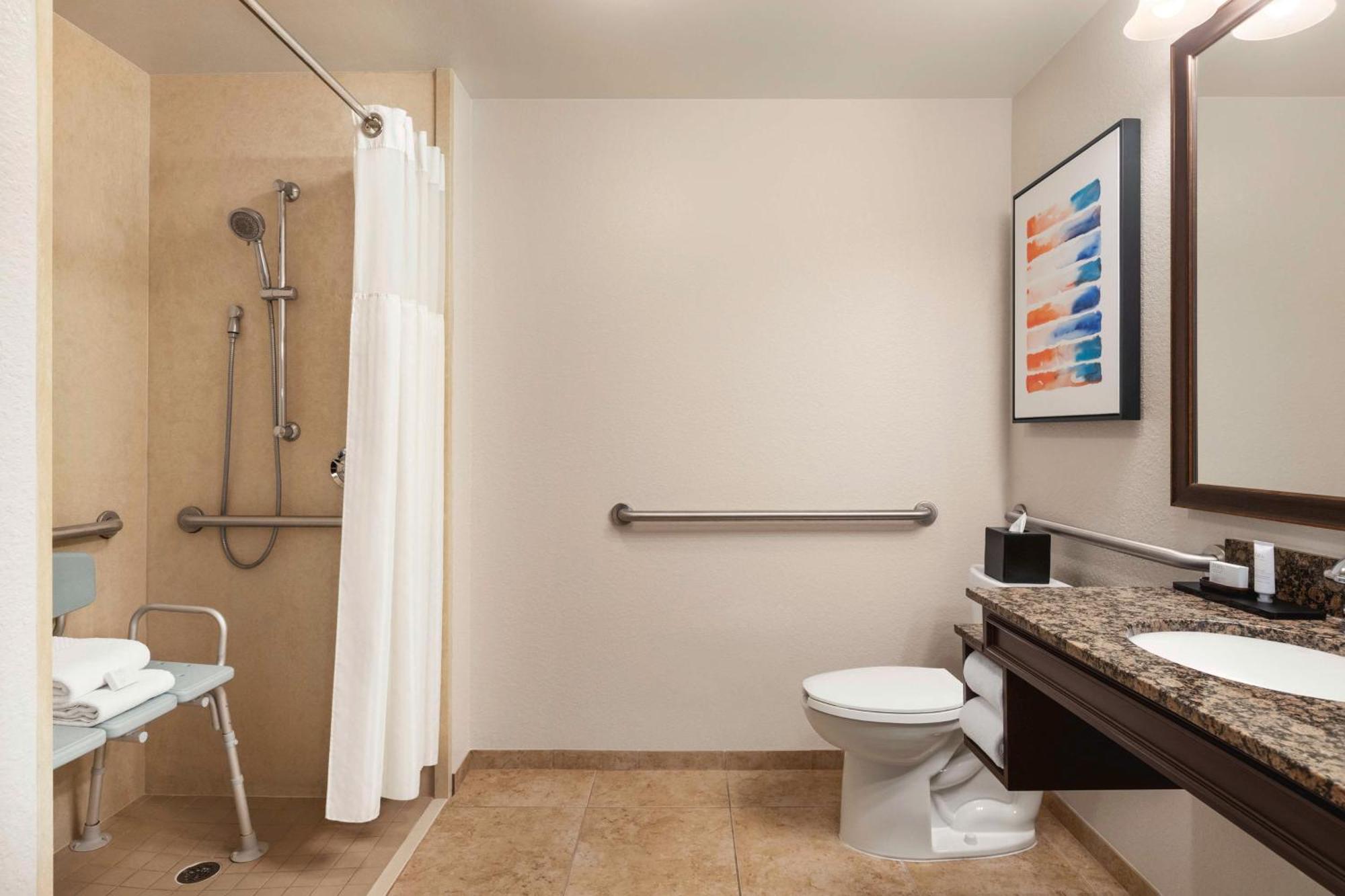 Deluxe One-Bedroom King Suite Hearing Accessible or Non-Smoking
