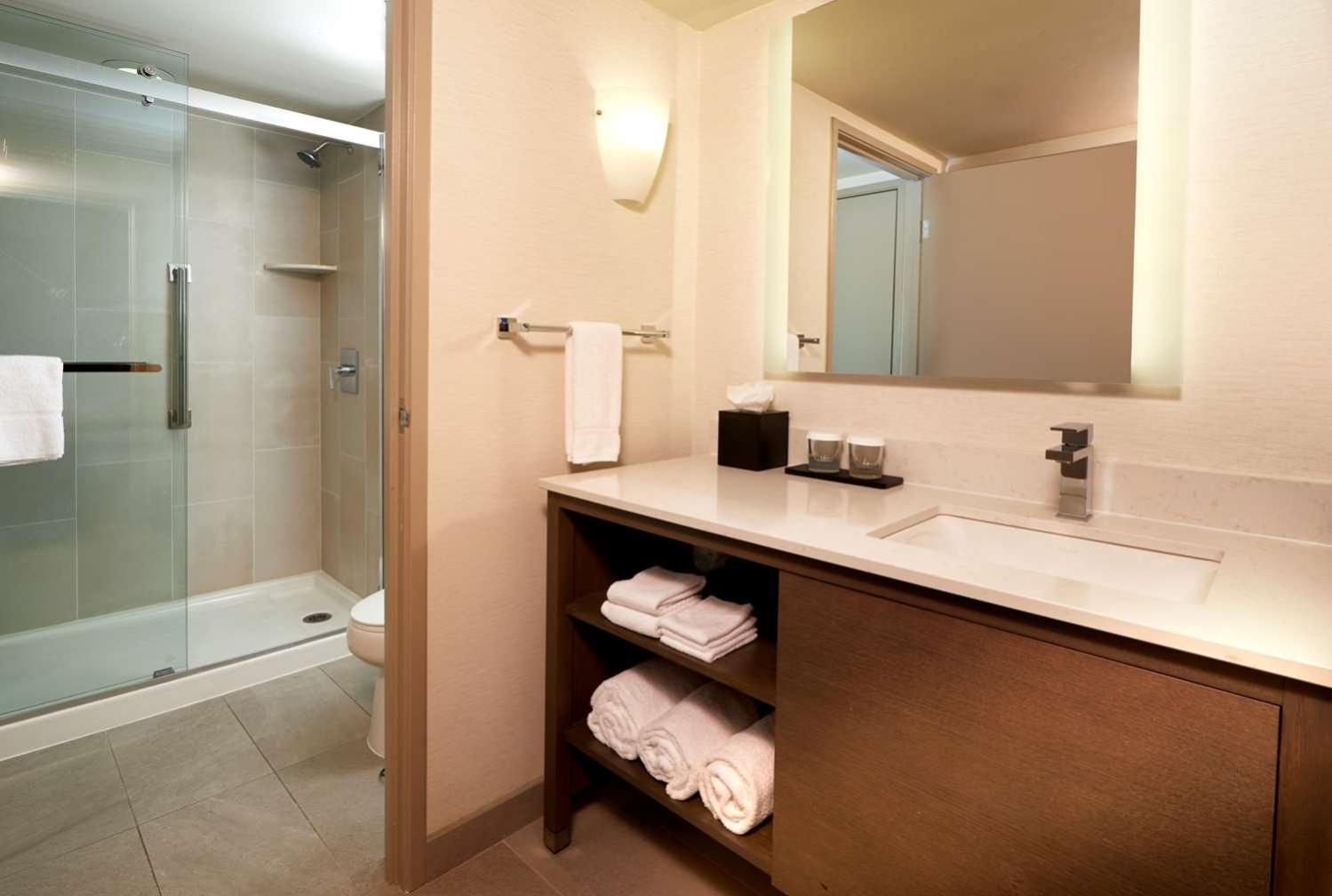 One-Bedroom King Suite Roll Shower Mobility Access or Non-Smoking