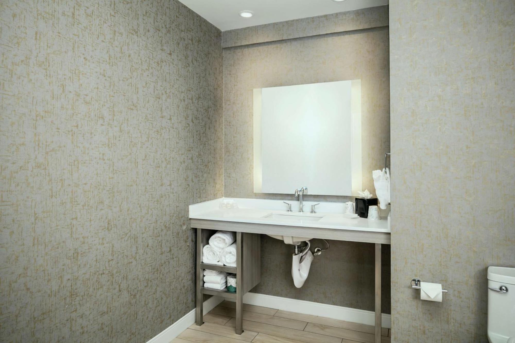 King Room Accessible Tub Mobility Access