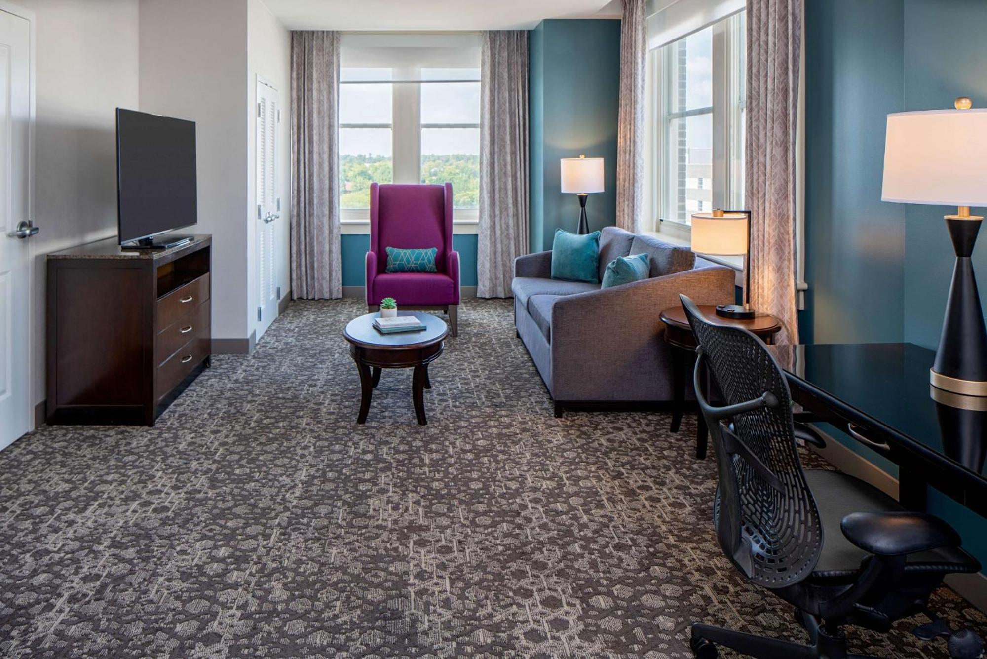 One-Bedroom King Suite Sofa Bed