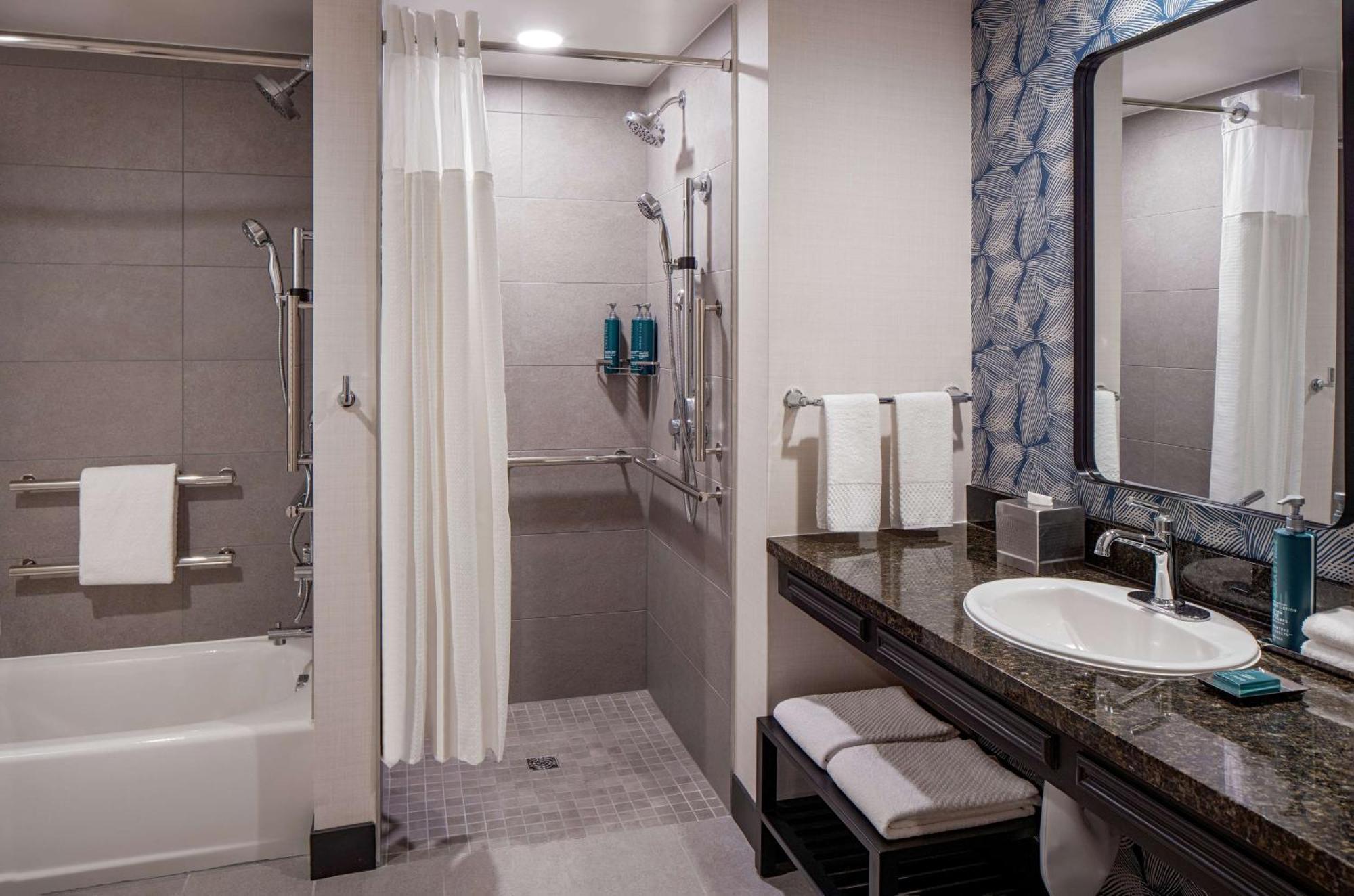 King Room Roll Shower Mobility or Hearing Accessible