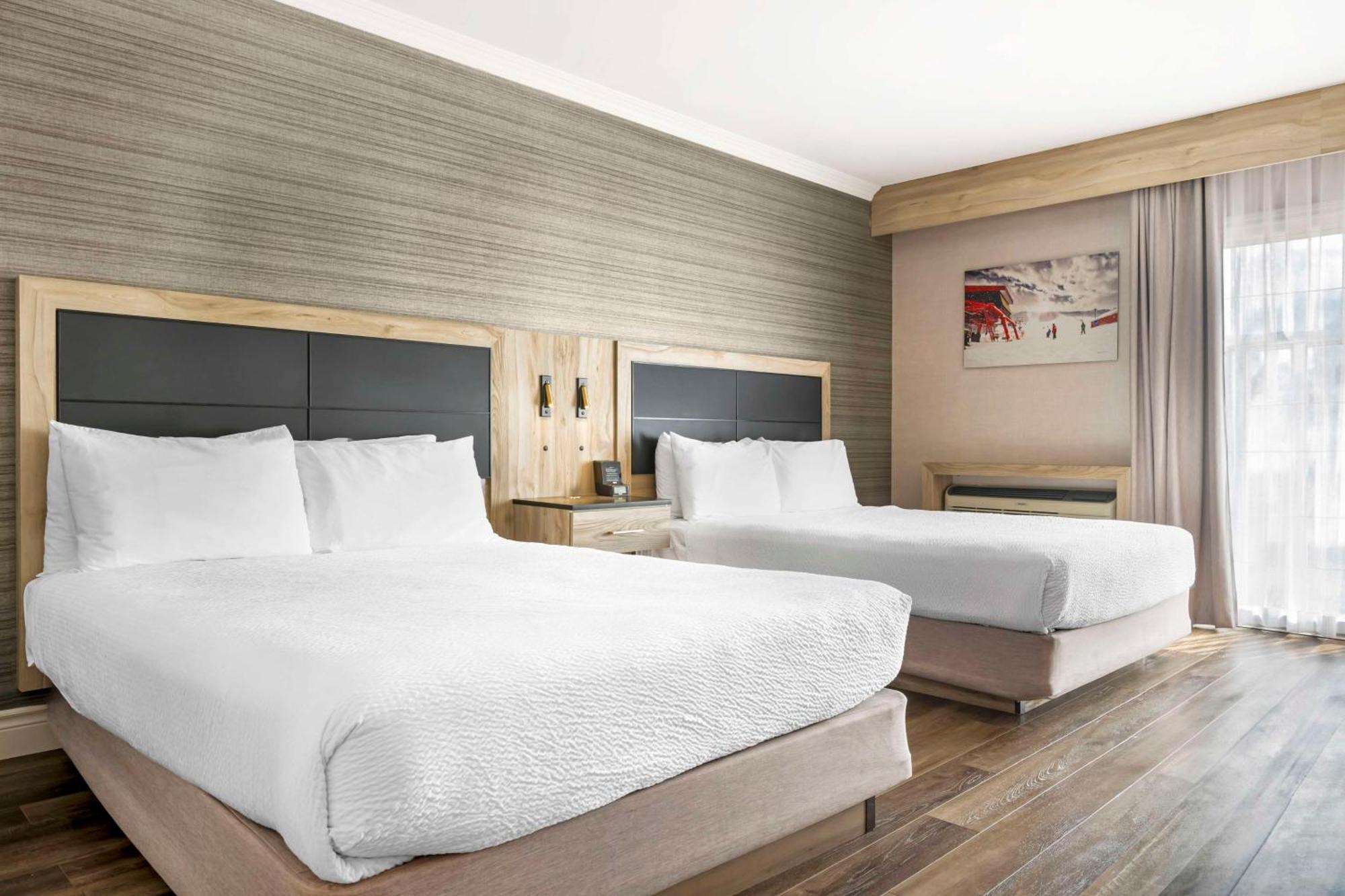Zimmer mit 2 Queensize-Betten