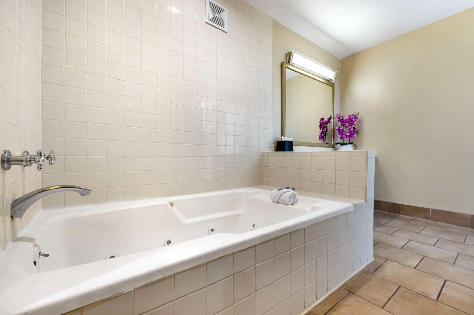 Suite mit Queensize-Bett und Schlafsofa - Nichtraucher