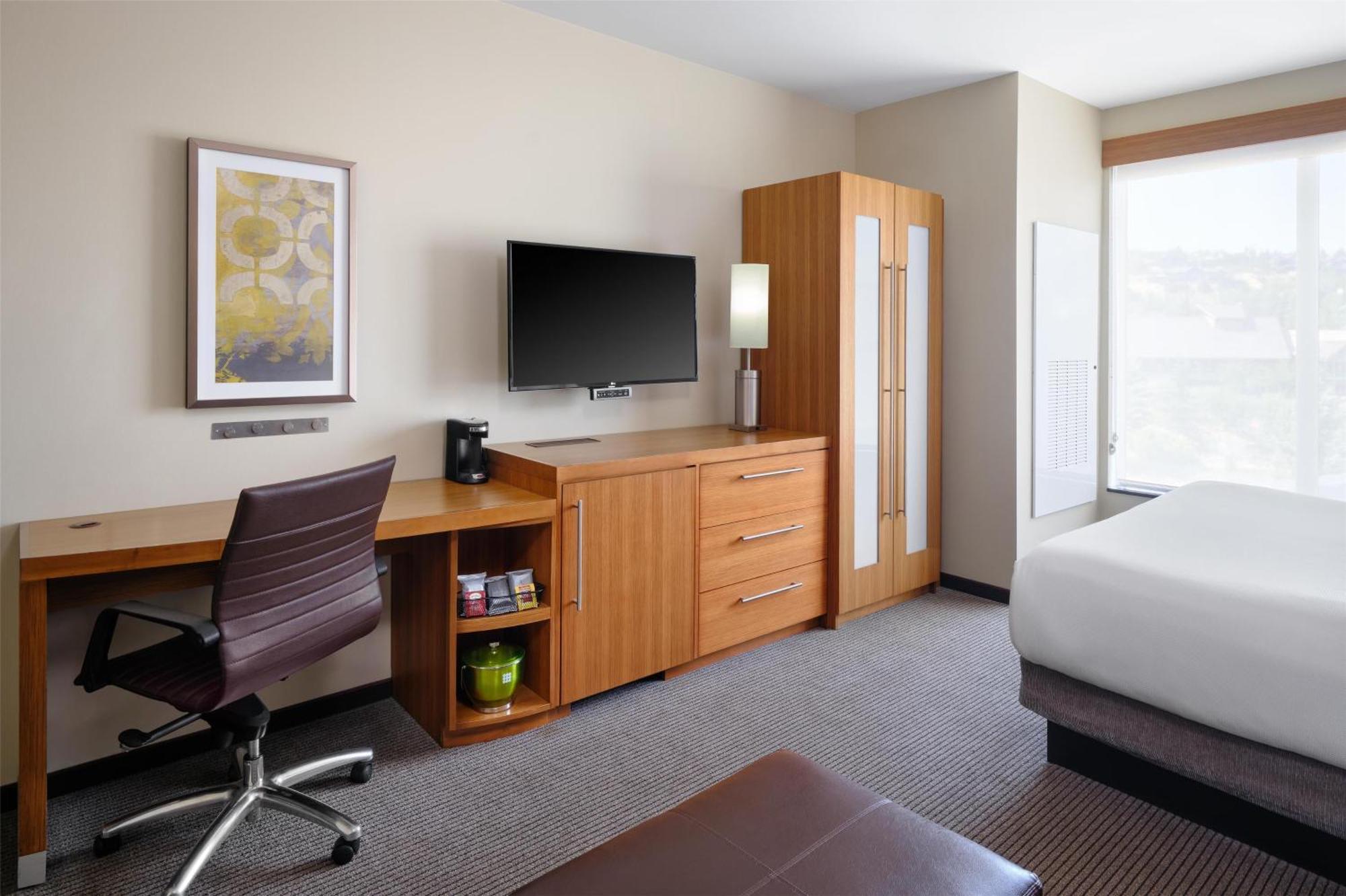 King Room Sofa Bed