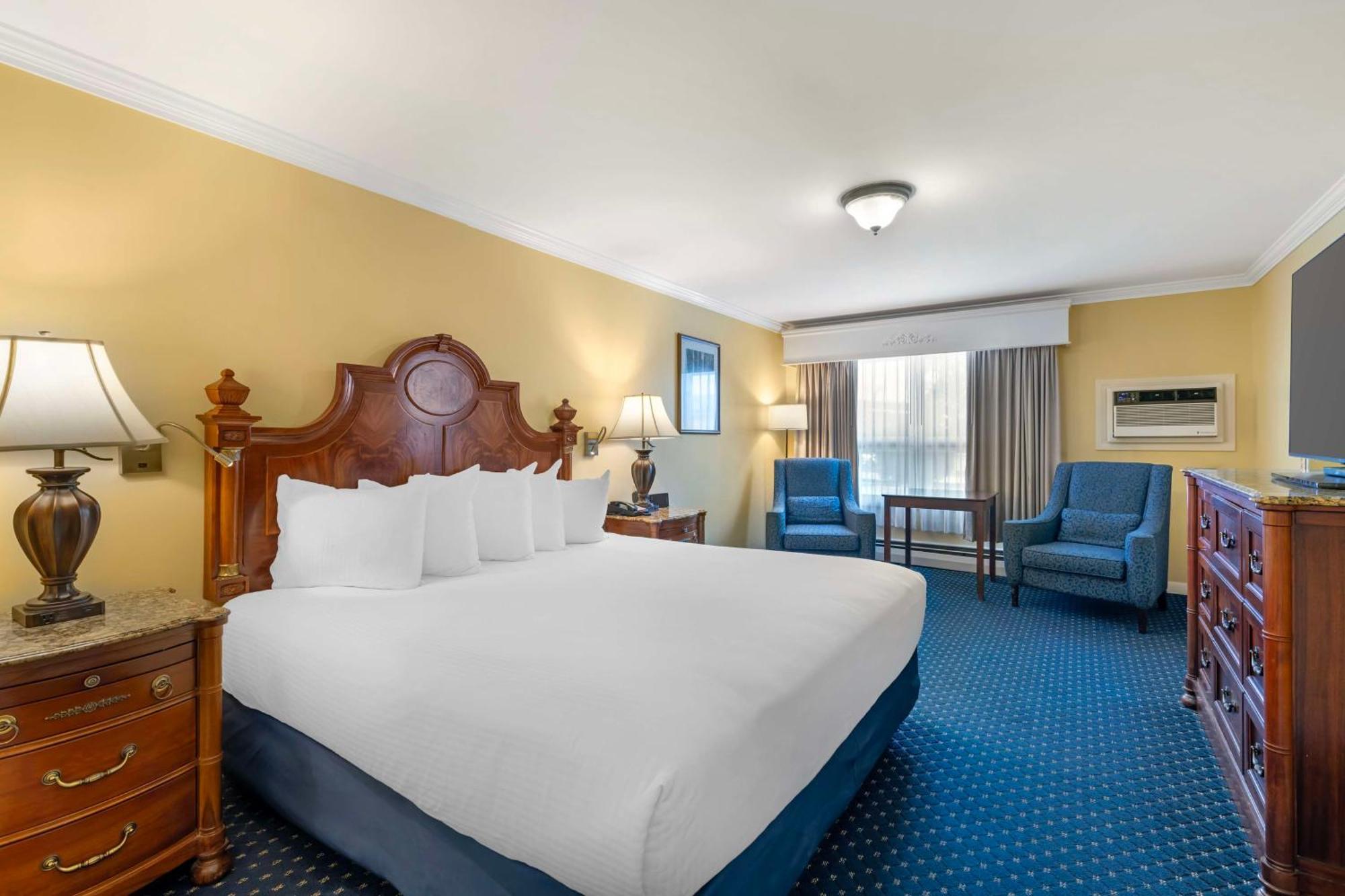 King Room Pet Friendly or Non-Smoking