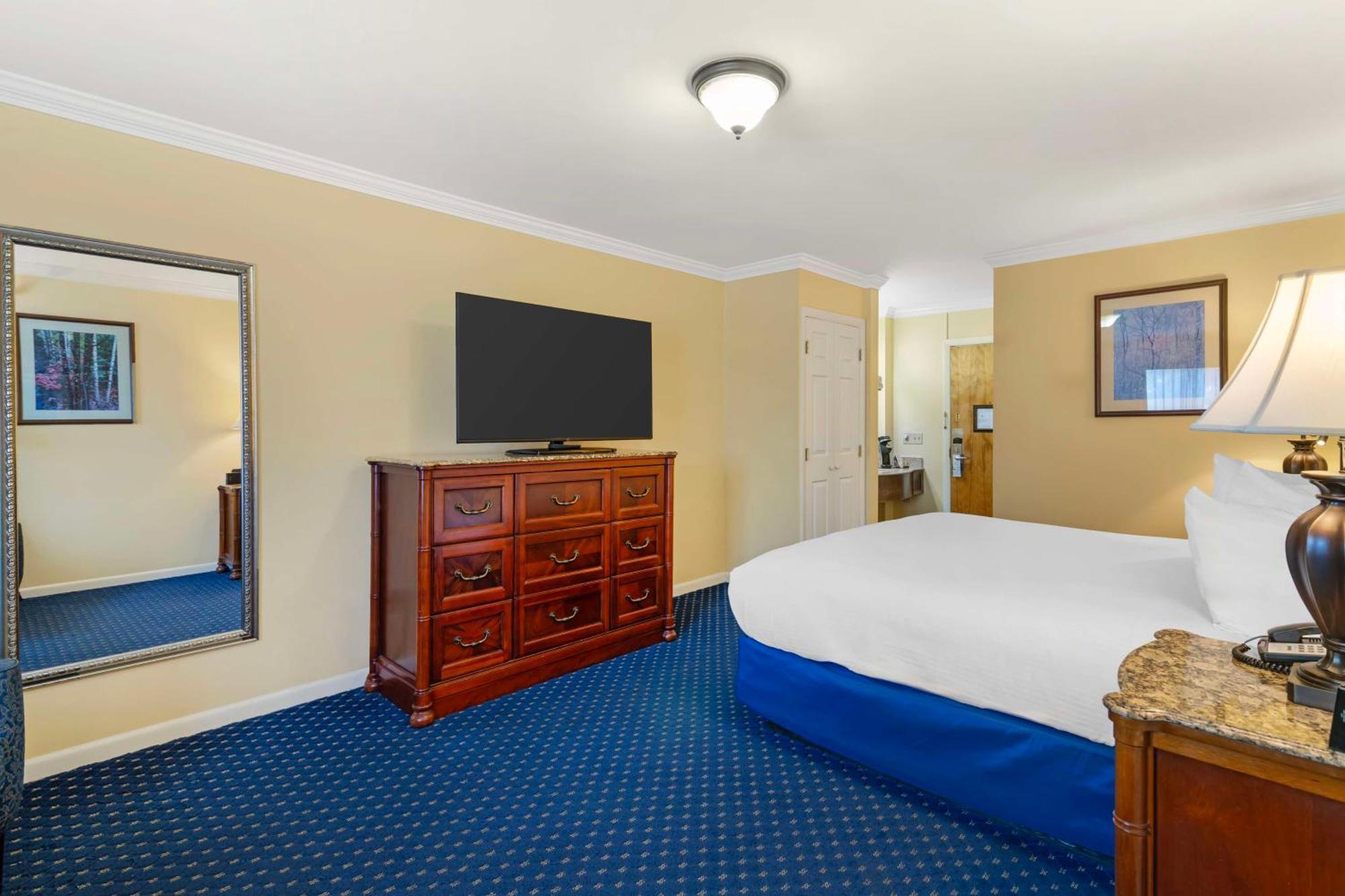 King Room Pet Friendly or Non-Smoking