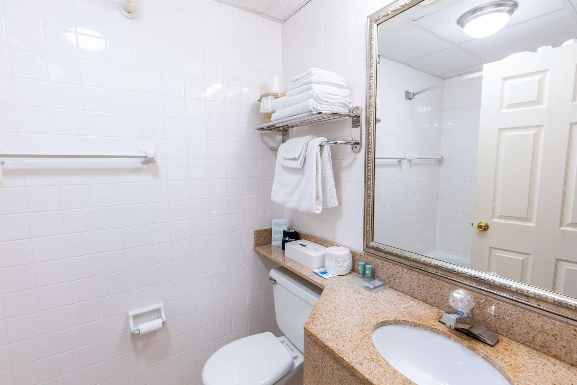 King Room Pet Friendly or Non-Smoking