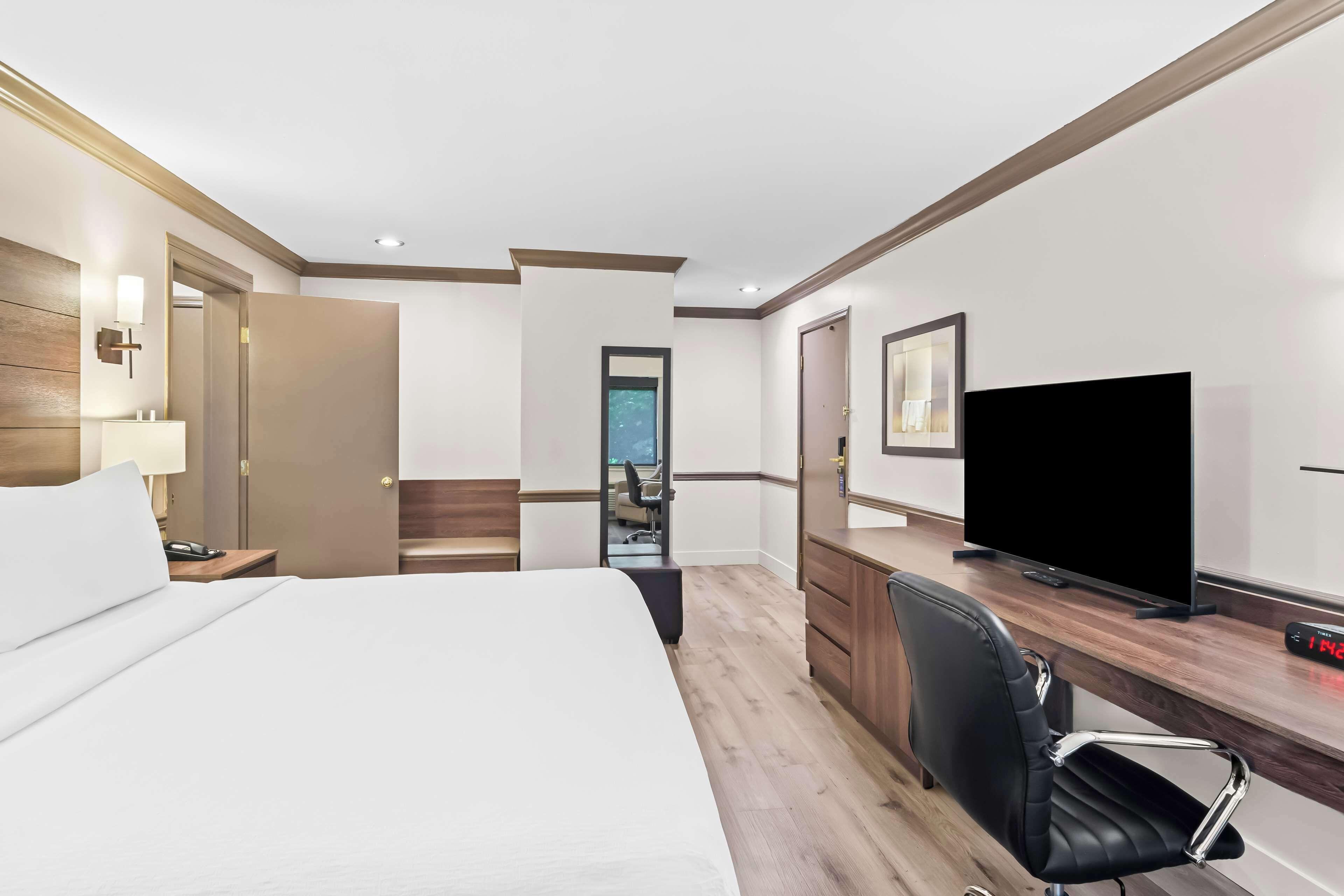 King Suite with Sofa Bed and Spa Bath - Honeymoon Room/Non-Smoking