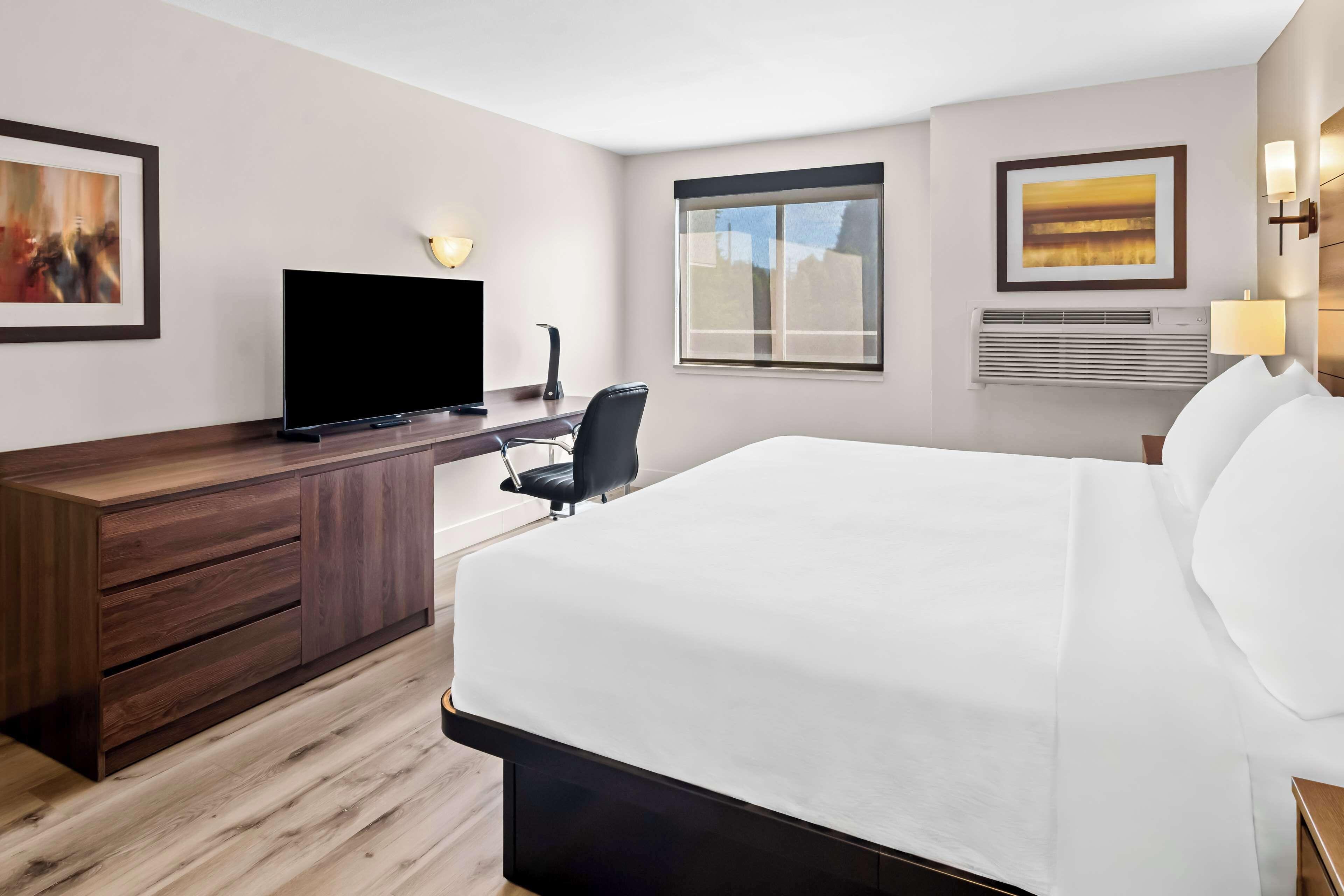 Suite mit 1 Schlafzimmer mit Kingsize-Bett und mit Schlafsofa - Nichtraucher