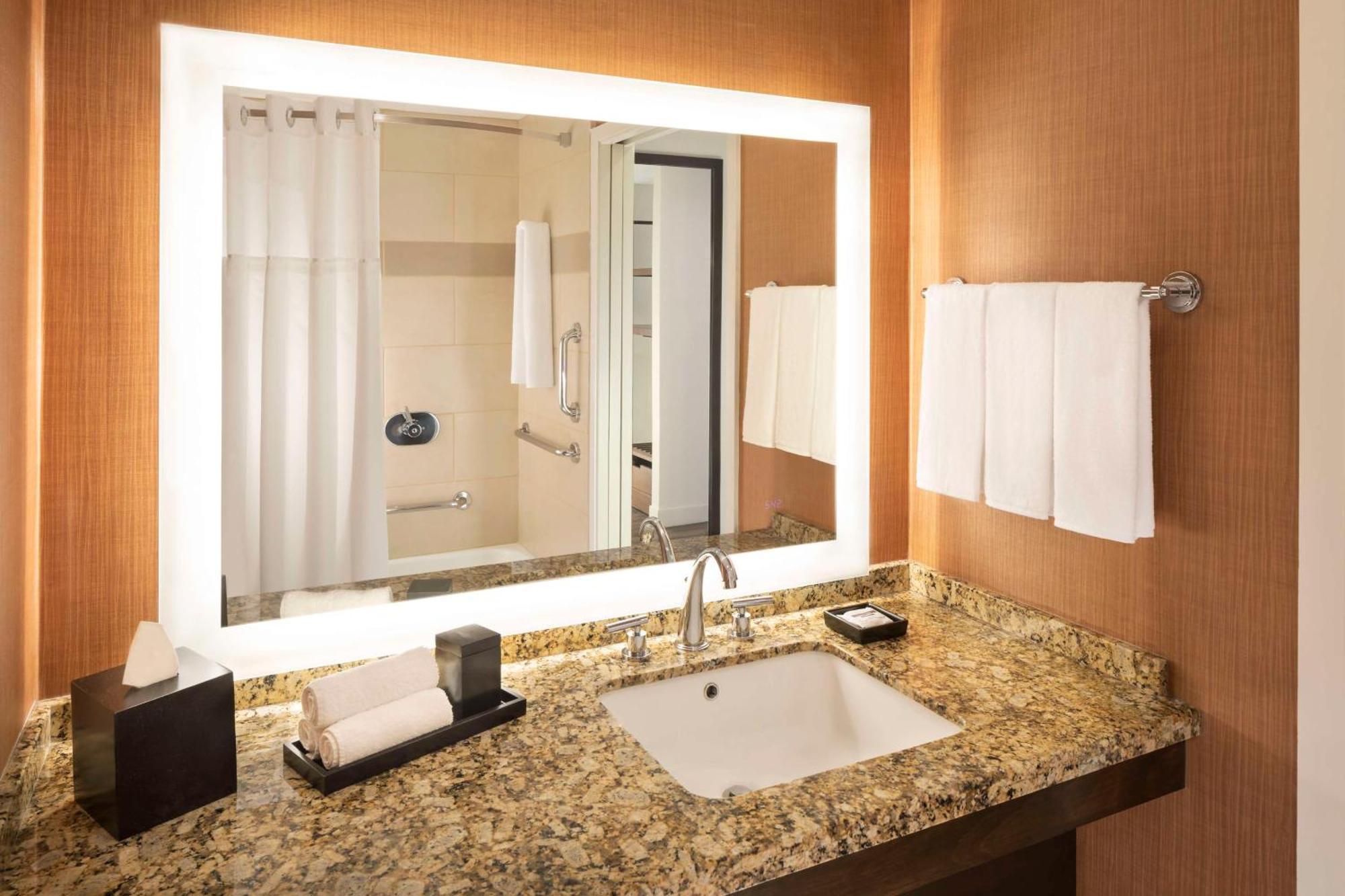 King Room Accessible Tub Disability Access