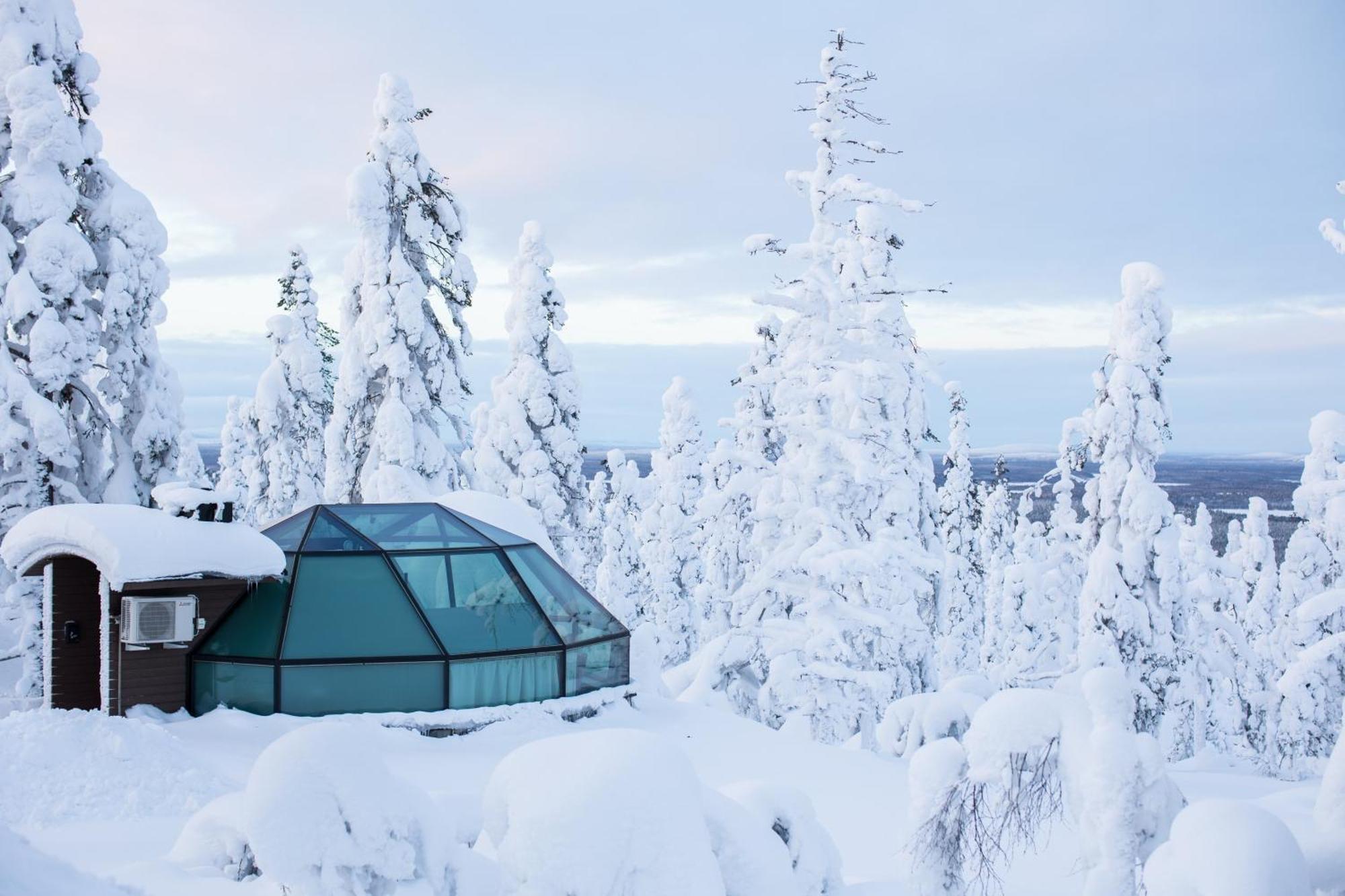 Prime Superior Iglu – Waldseite