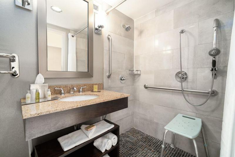 King Room Mobility Access Roll Shower Non-Smoking
