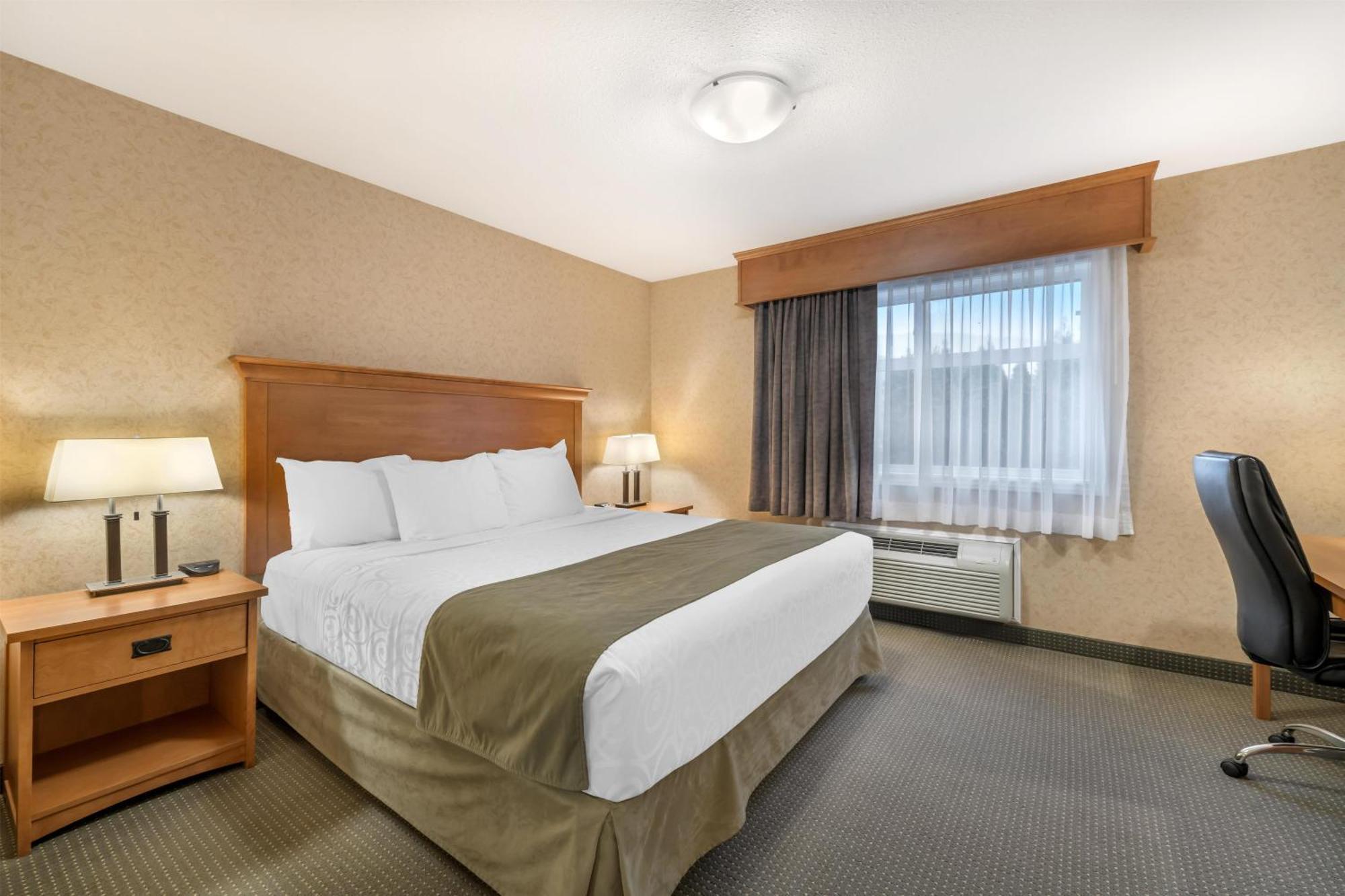 Suite mit Kingsize-Bett und Schlafsofa - Nichtraucher