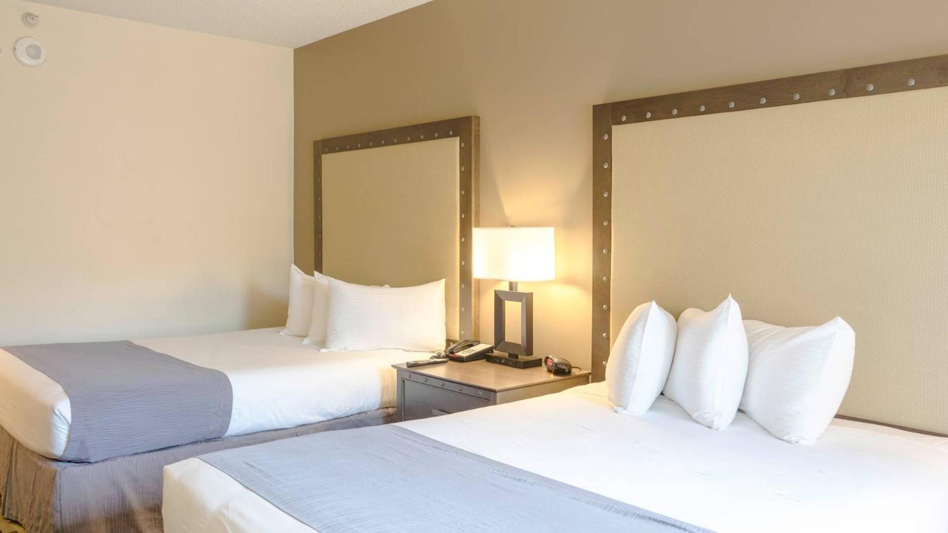 Standard Room 2 Queen beds
