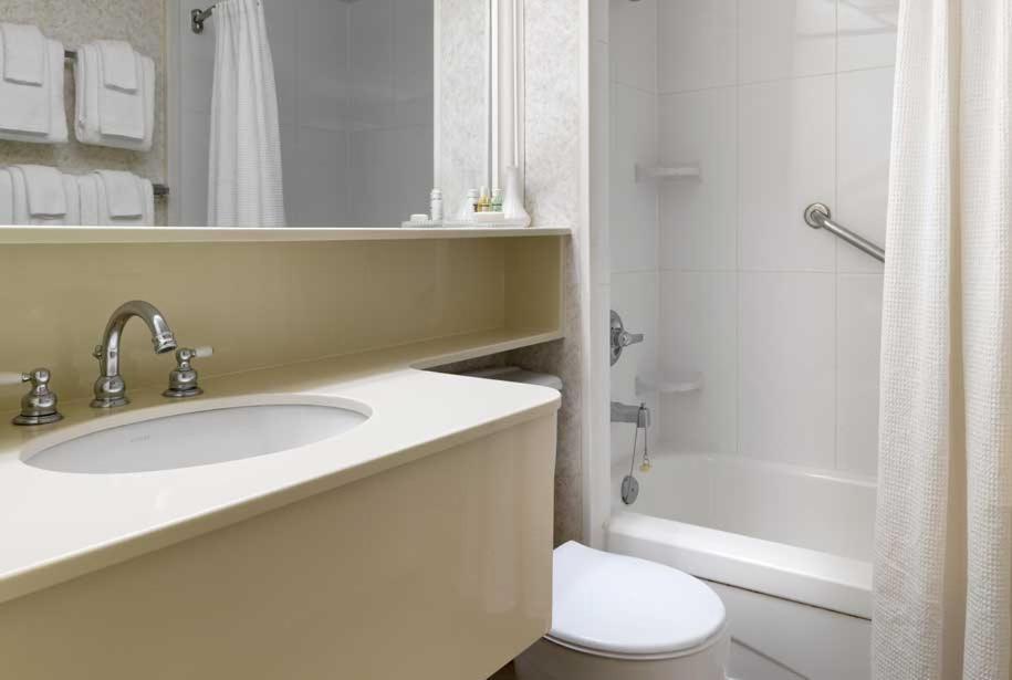 Studio Suite mit Kingsize-Bett - Nichtraucherzimmer