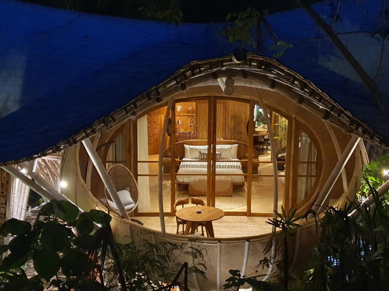Cocoon Jungle