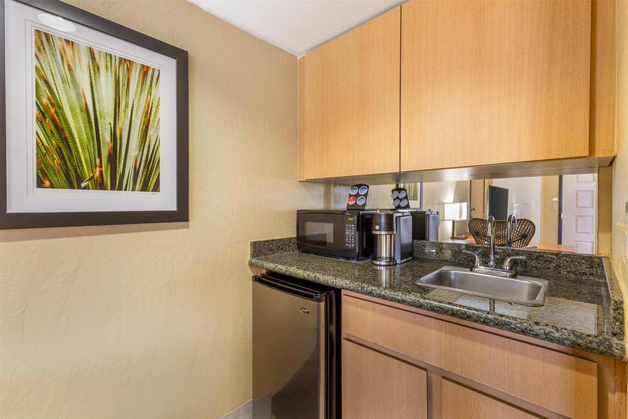 One-Bedroom King Suite Balcony Wet Bar