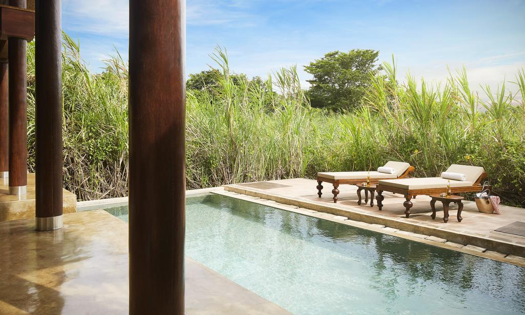 Forest Dwelling with Pool