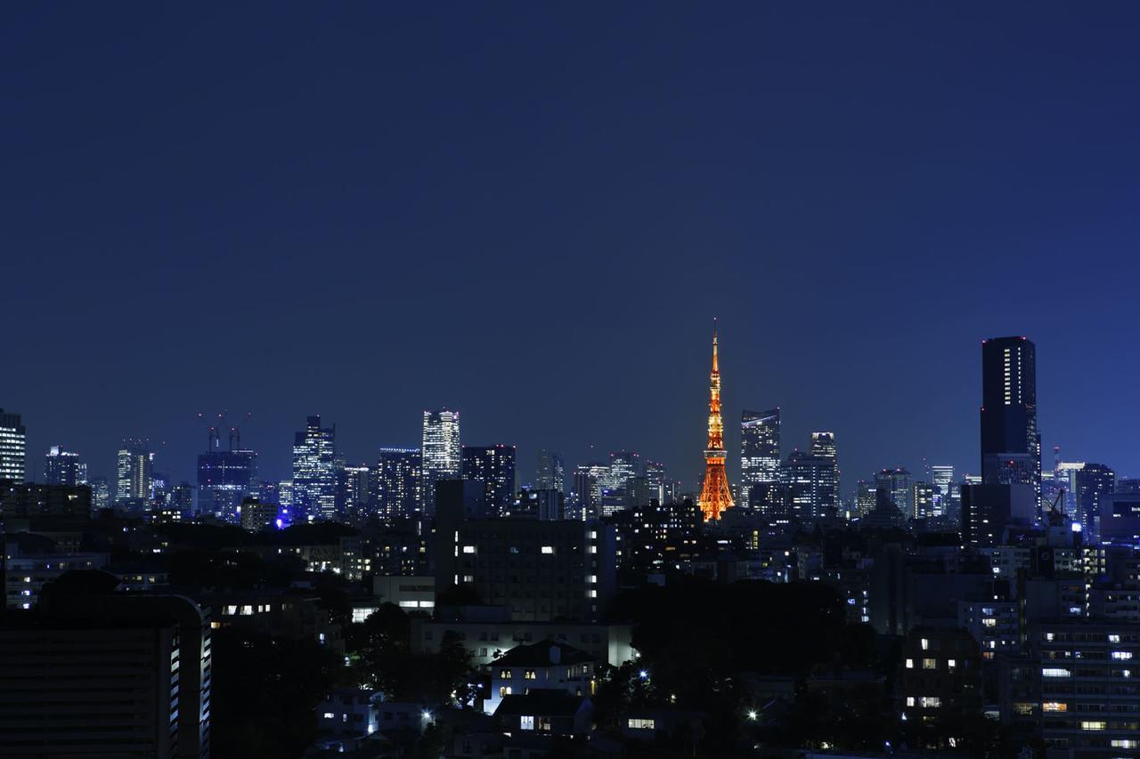 Deluxe Zweibettzimmer mit Aussicht auf den Tokyo Tower und Zugang zur Sauna - Nichtraucher, Turmseite