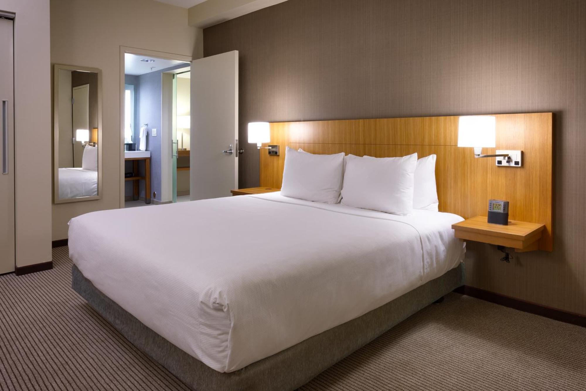 King Suite Sofa Bed Roll Shower Disability Access