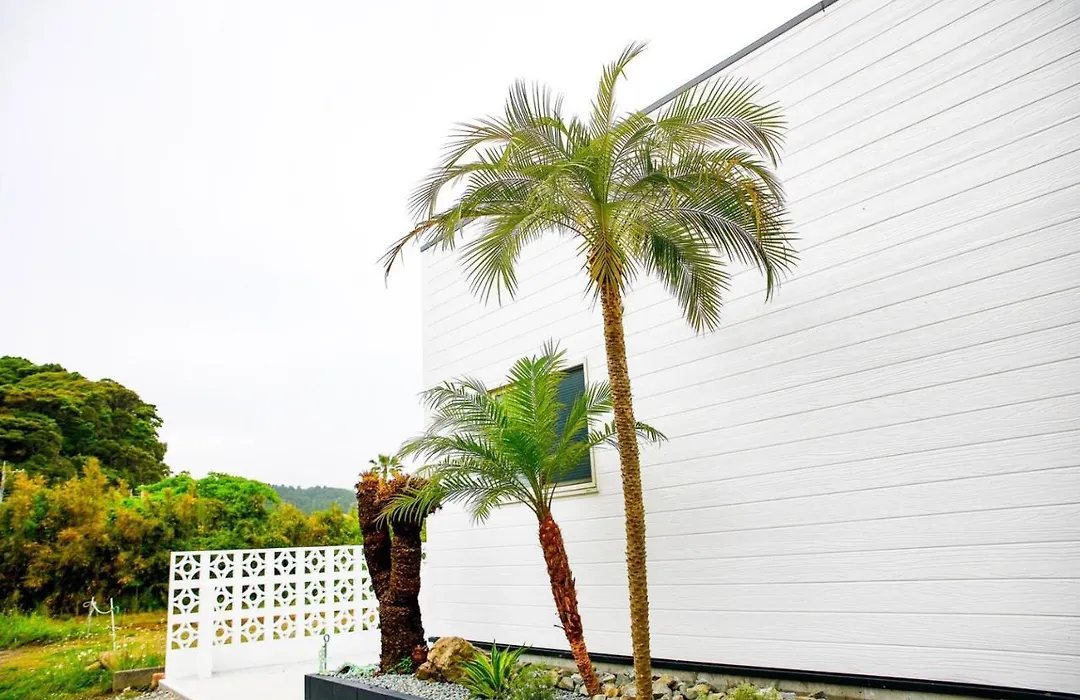 Shirahama Beach Garden-1