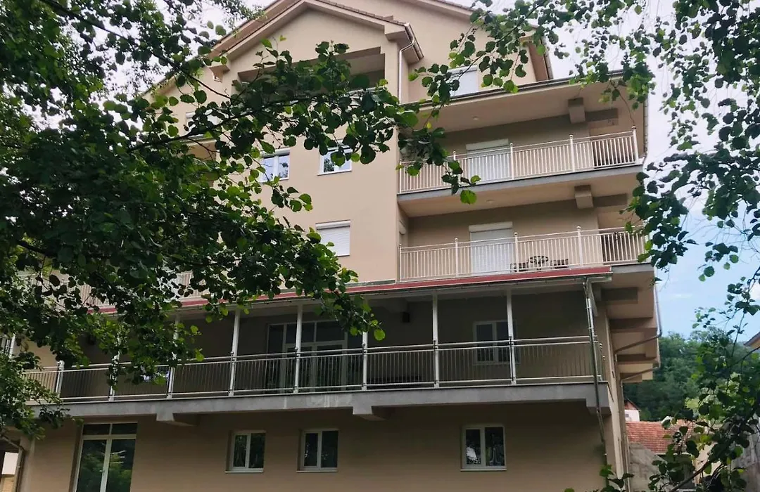 Apartmani & Spa Matin Breg-1