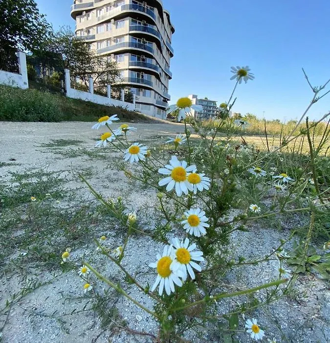 Apartament Somnila, Mamaia Nord-1