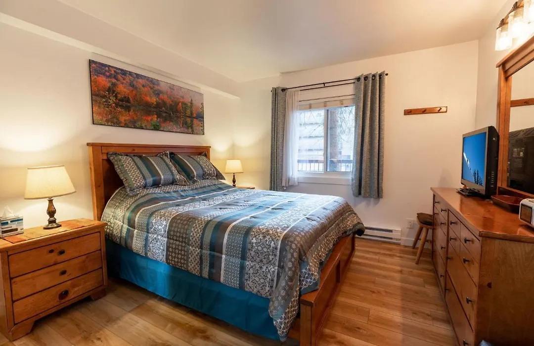 Vantage Point Lionshead By Vail Realty-1