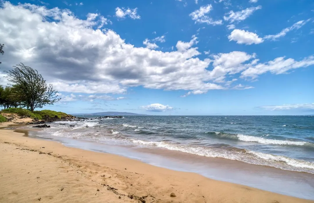 Maui Banyan H506 Condo-1