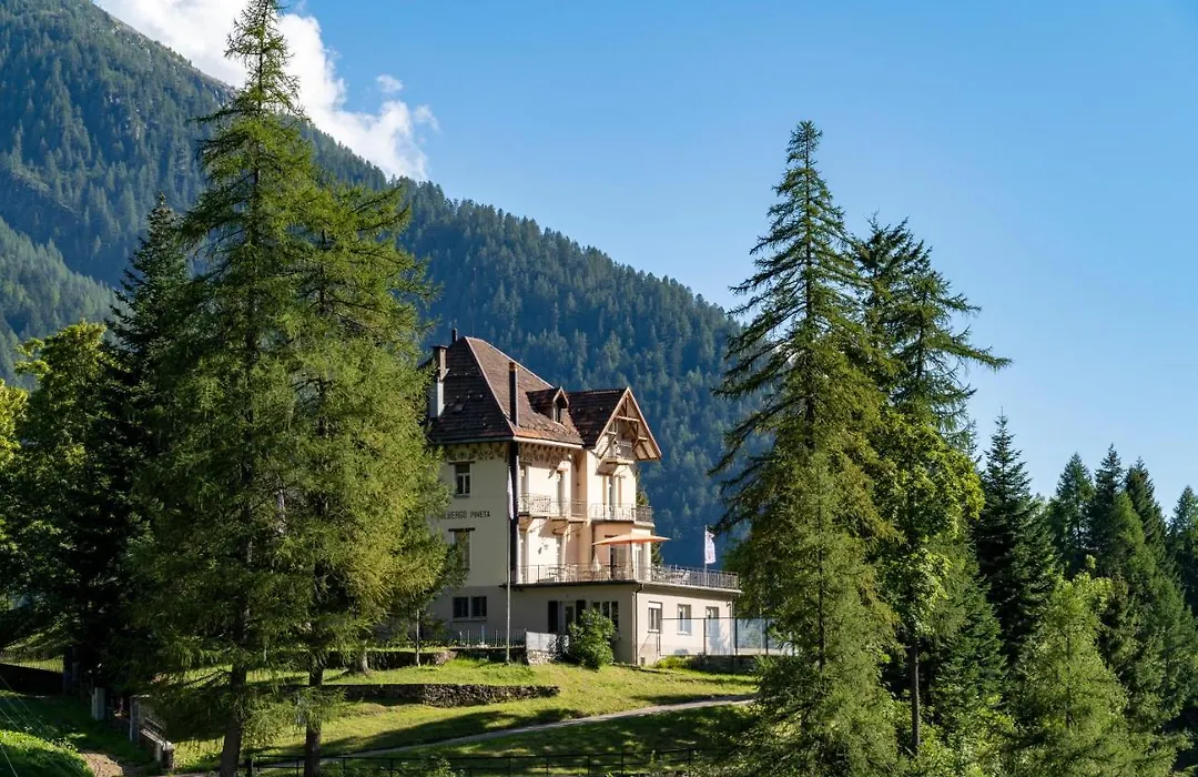 Villa Pineta-1
