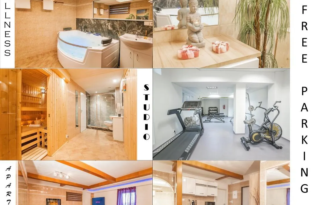 Wellness Studio! Finnish Sauna, Whirlpool, Gym & More!-1