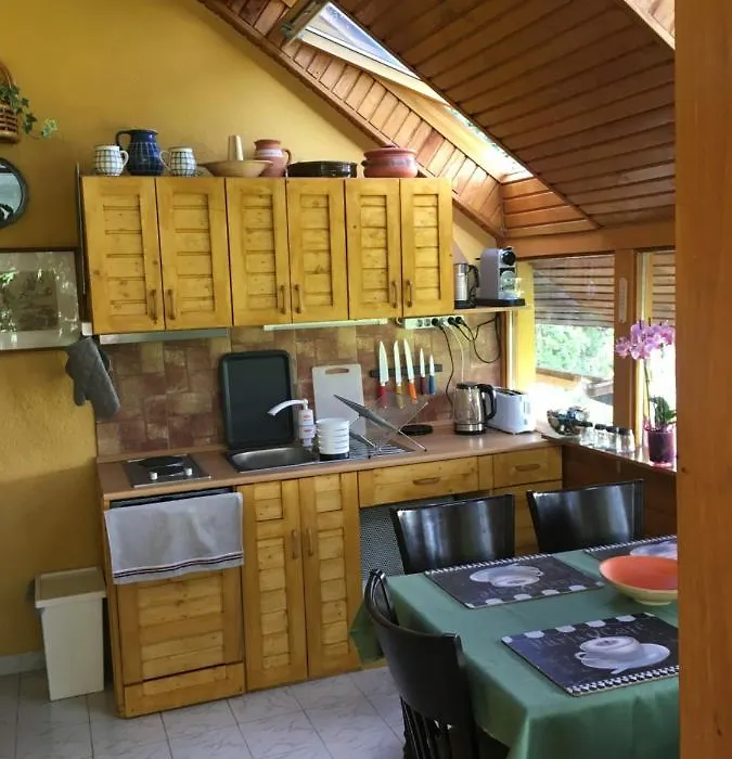 Aktiv Pihenes Apartman-1