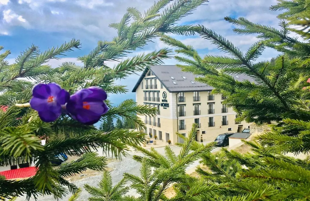 Montis Hotel & Spa-1