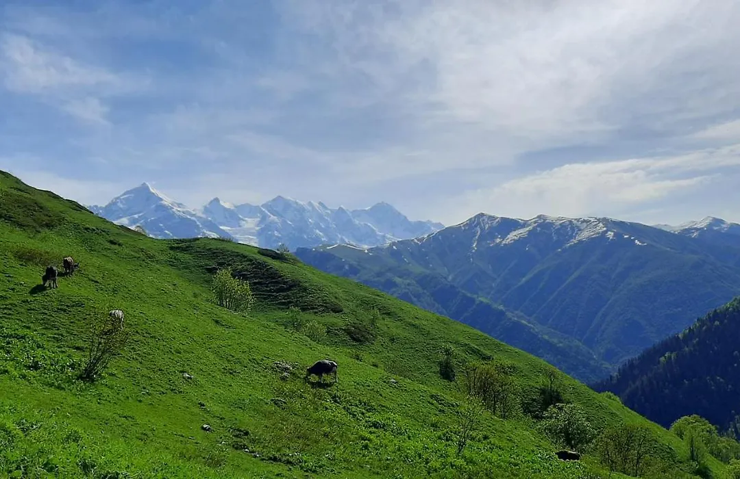Xostel Luka-1