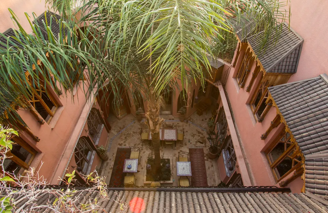 Riad Xo-1